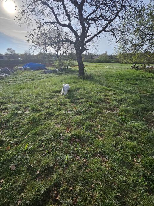 Kanfanar, Na prodaj je građevinsko zemljište, 908 m2, v mirni istrski vasi