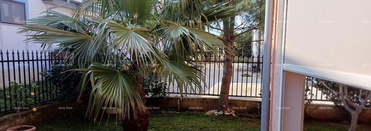 Prodaja stana Ližnjan, 64 m2