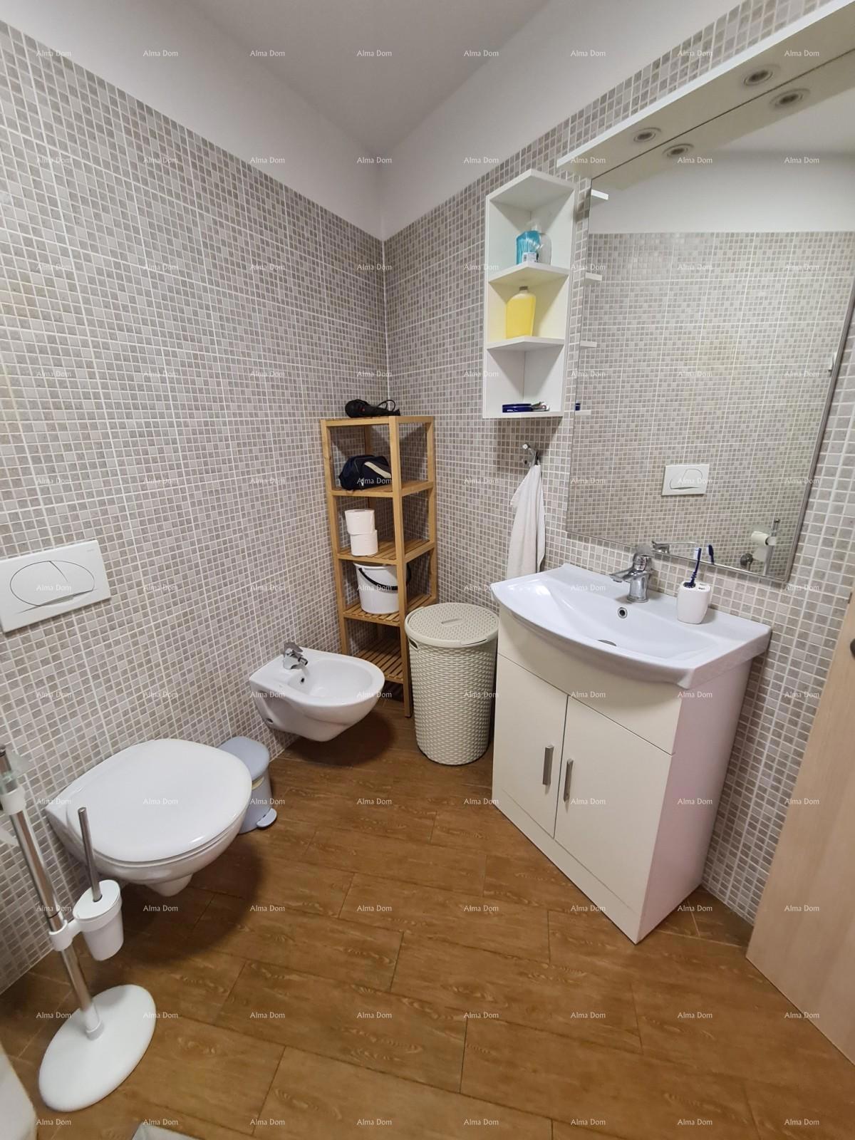 Ližnjan! Enosobno stanovanje v pritličju.