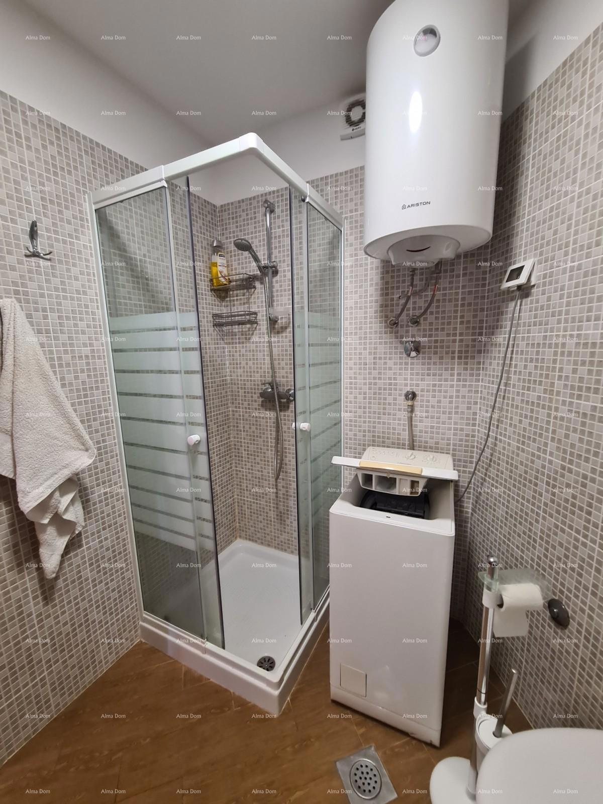 Ližnjan! Enosobno stanovanje v pritličju.