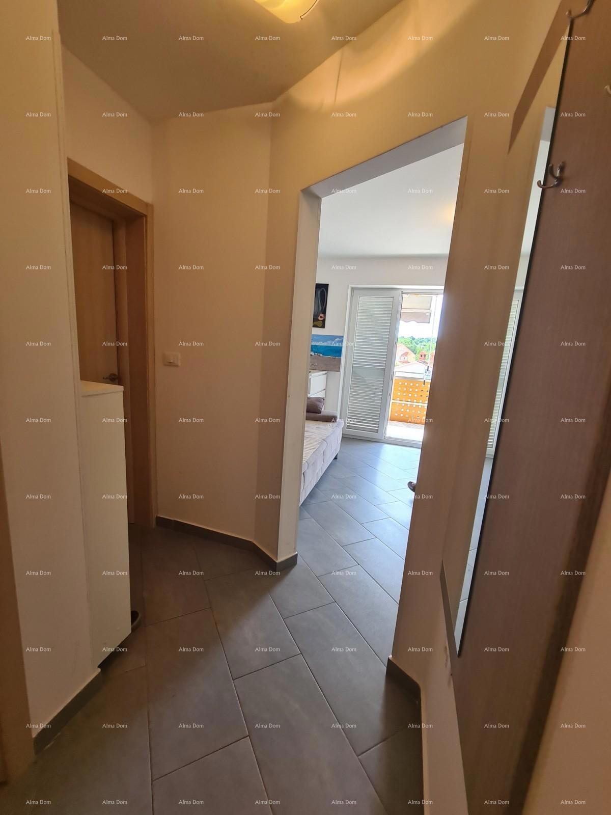 Ližnjan! Enosobno stanovanje v pritličju.