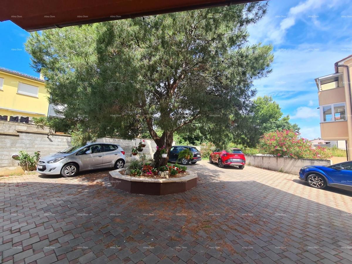 Ližnjan! Enosobno stanovanje v pritličju.