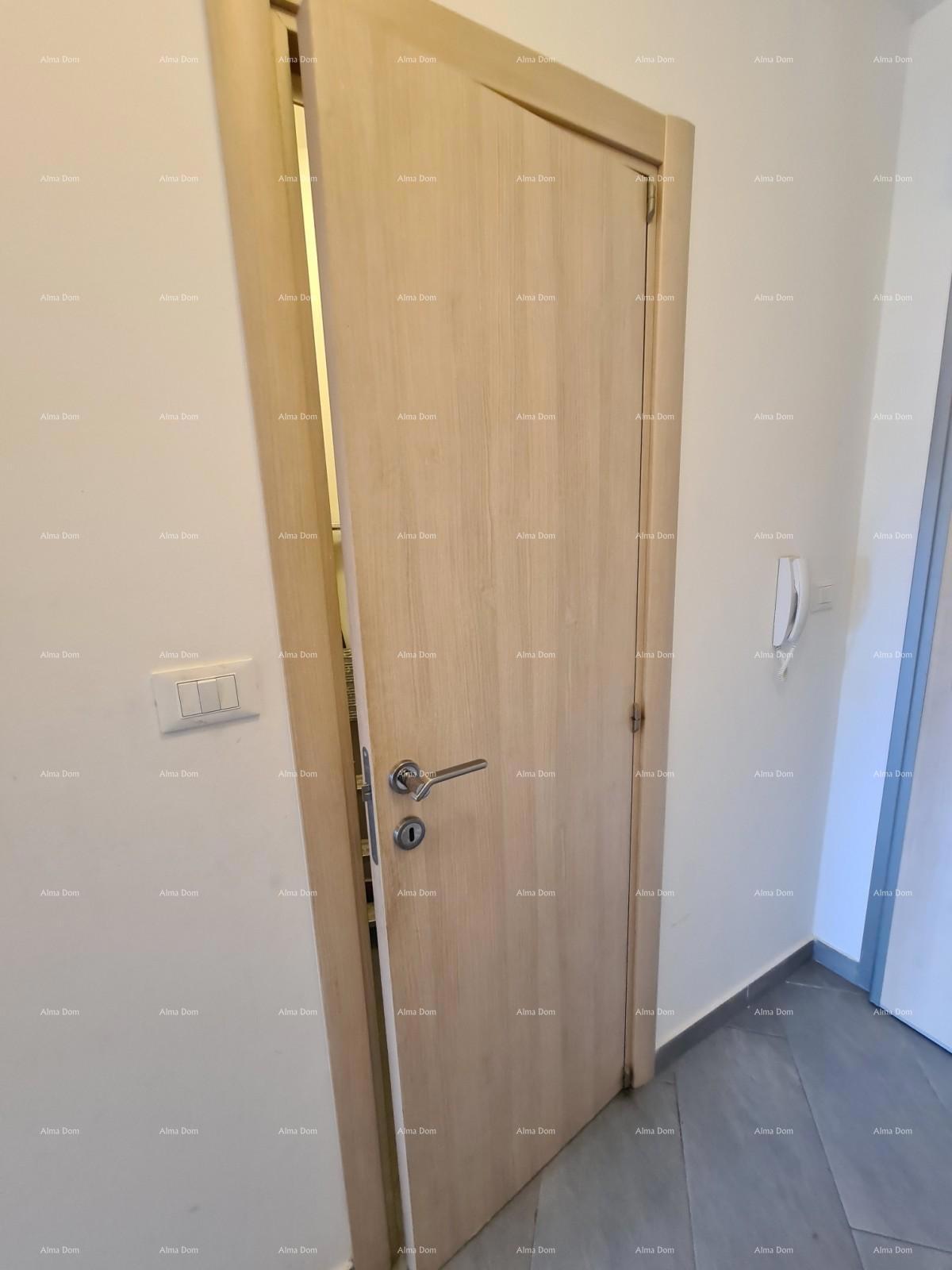 Ližnjan! Enosobno stanovanje v pritličju.