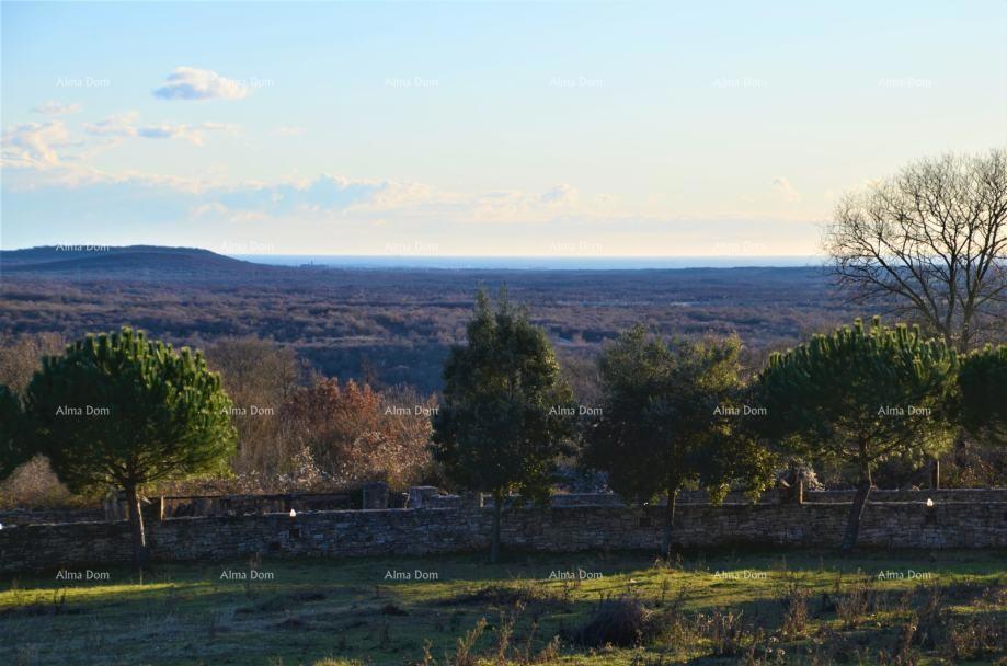 Kanfanar, posest z razgledom na morje – 6.038 m² gradbenega zemljišča
