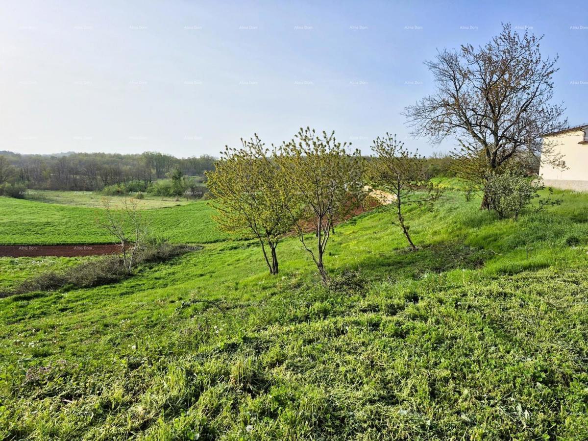 Građevinsko zemljišče 1.730 m² – Barban