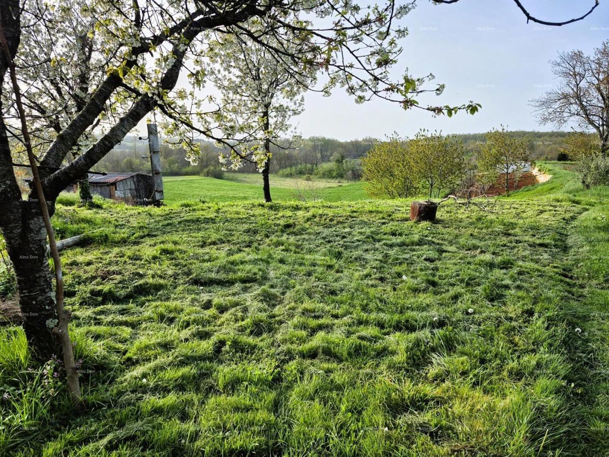 Građevinsko zemljišče 1.730 m² – Barban