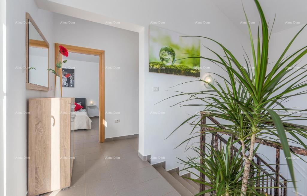 Počitniška hiša z bazenom in velikim vrtom