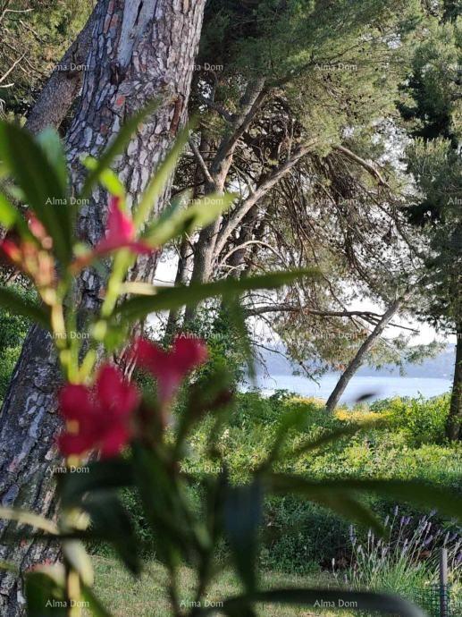 Hiša z dvema apartmajema, Medulin