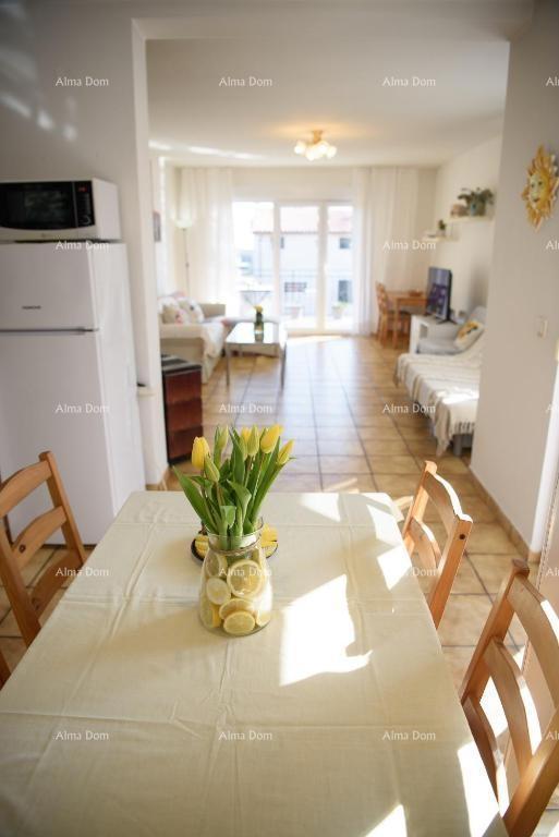 PREMANTURA – čudovita hiša s tremi stanovanji