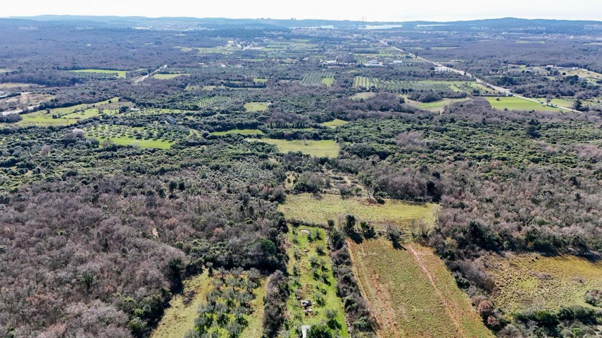 GALIŽANA - Naprodaj veliko kmetijsko zemljišče – ​​20.498 m², odlična lokacija