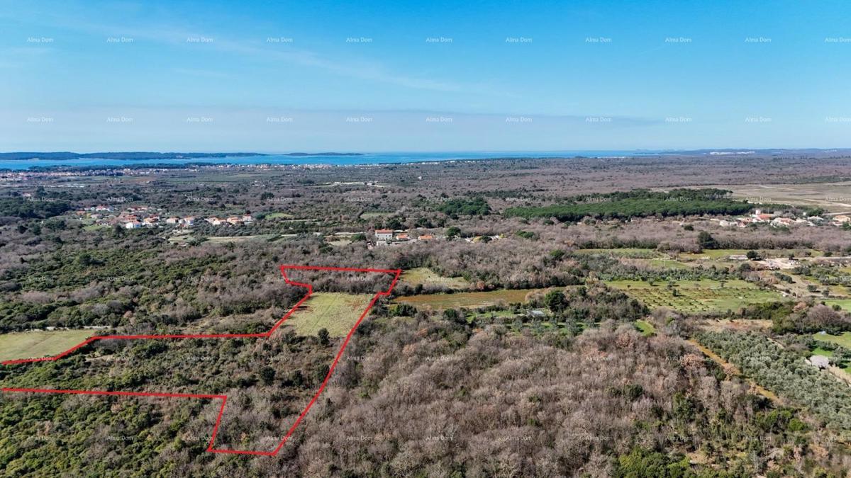 GALIŽANA - Naprodaj veliko kmetijsko zemljišče – ​​20.498 m², odlična lokacija