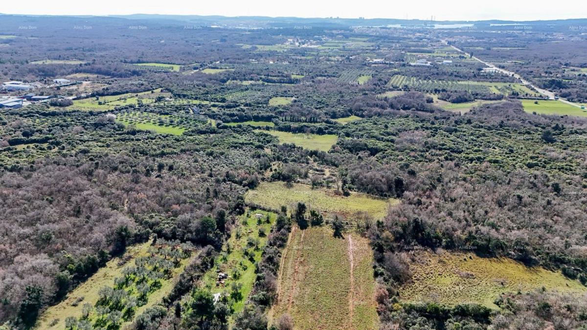 GALIŽANA - Naprodaj veliko kmetijsko zemljišče – ​​20.498 m², odlična lokacija