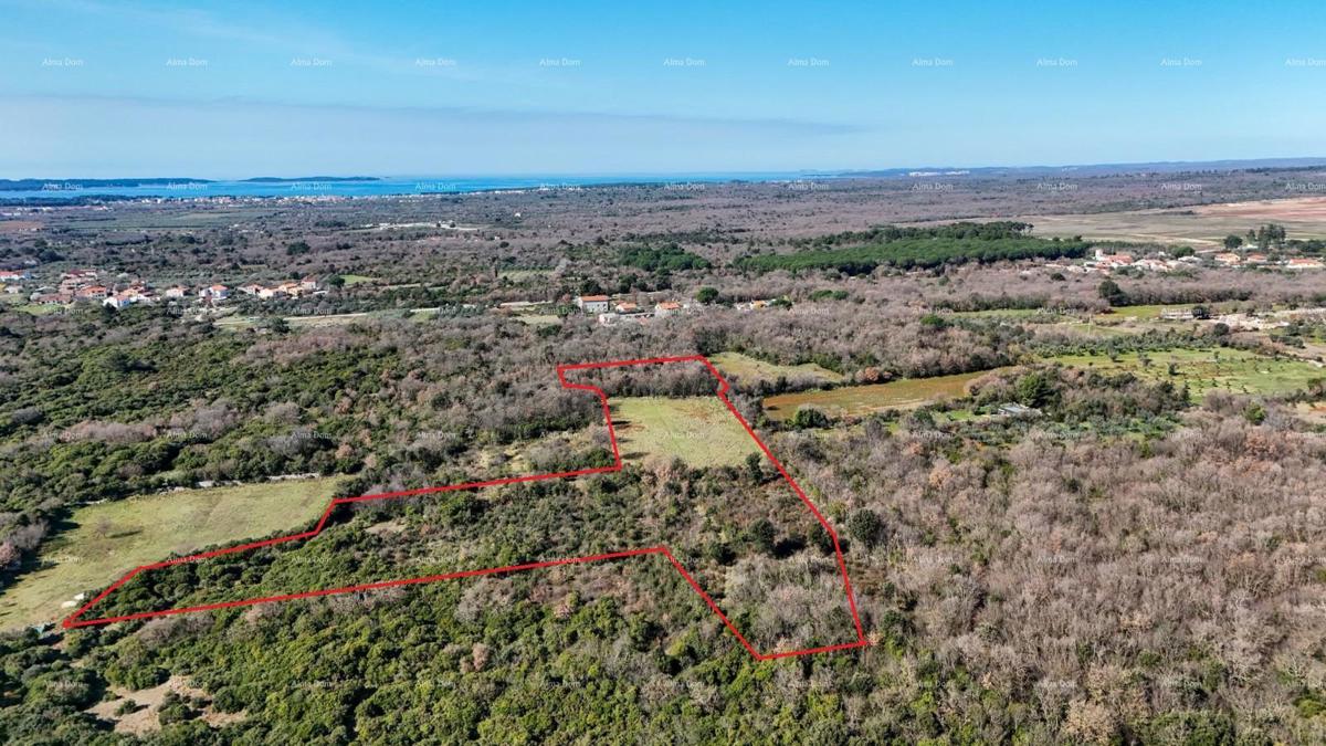 GALIŽANA - Naprodaj veliko kmetijsko zemljišče – ​​20.498 m², odlična lokacija