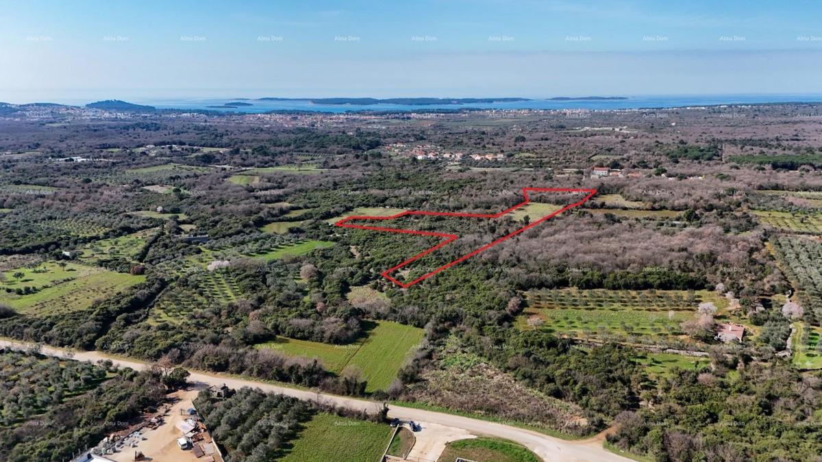 GALIŽANA - Naprodaj veliko kmetijsko zemljišče – ​​20.498 m², odlična lokacija