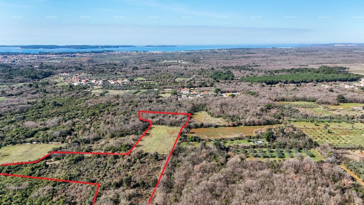 GALIŽANA - Naprodaj veliko kmetijsko zemljišče – ​​20.498 m², odlična lokacija