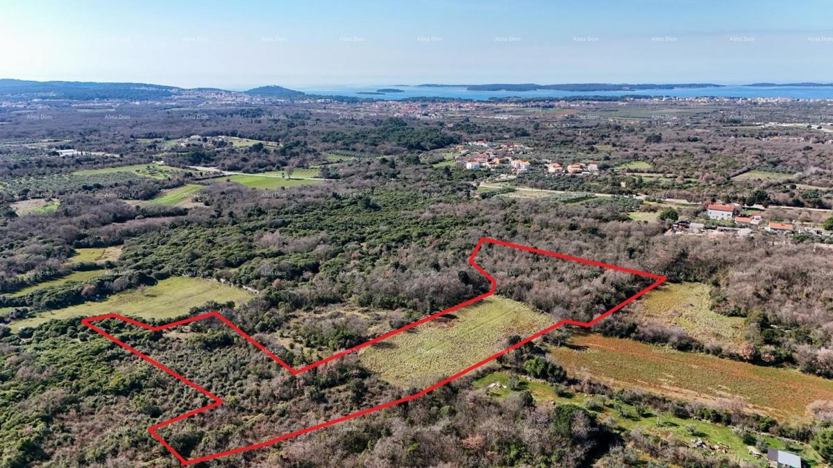 GALIŽANA - Naprodaj veliko kmetijsko zemljišče – ​​20.498 m², odlična lokacija