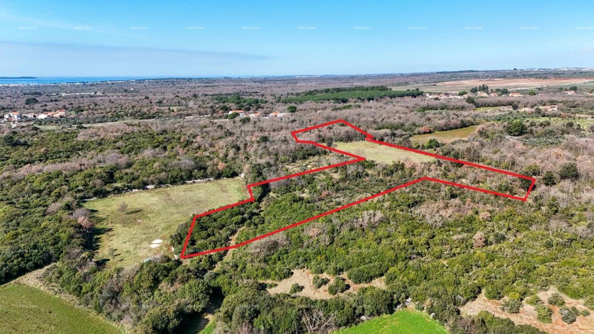 GALIŽANA - Naprodaj veliko kmetijsko zemljišče – ​​20.498 m², odlična lokacija