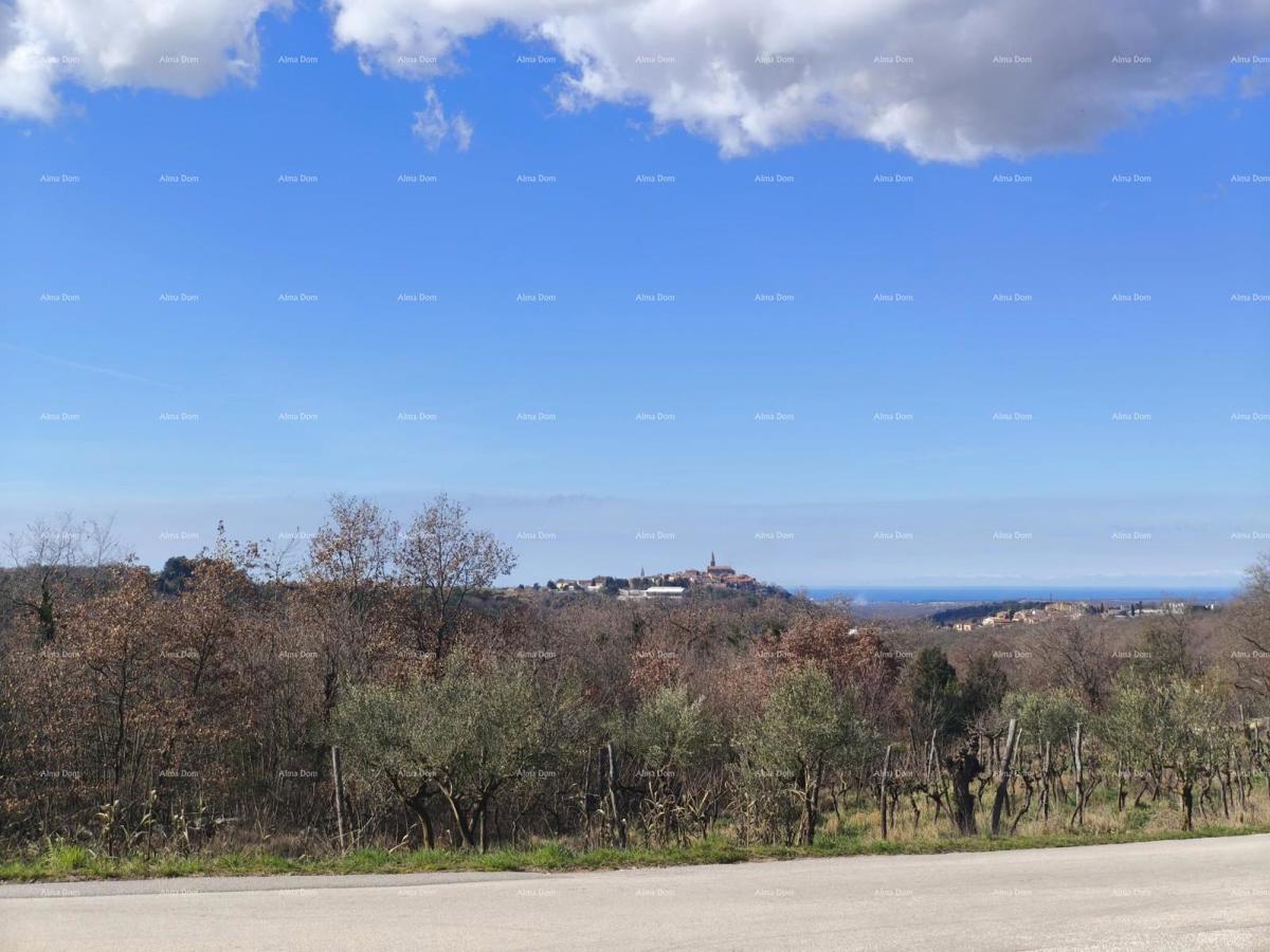 Buje – gradbena parcela 1.086 m² s pogledom na morje