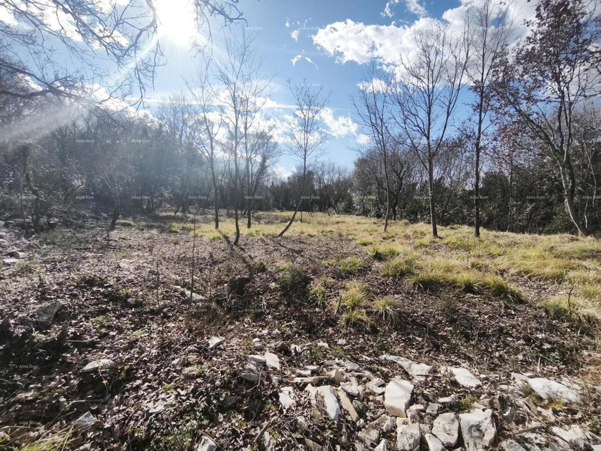 Buje – gradbena parcela 1.086 m² s pogledom na morje