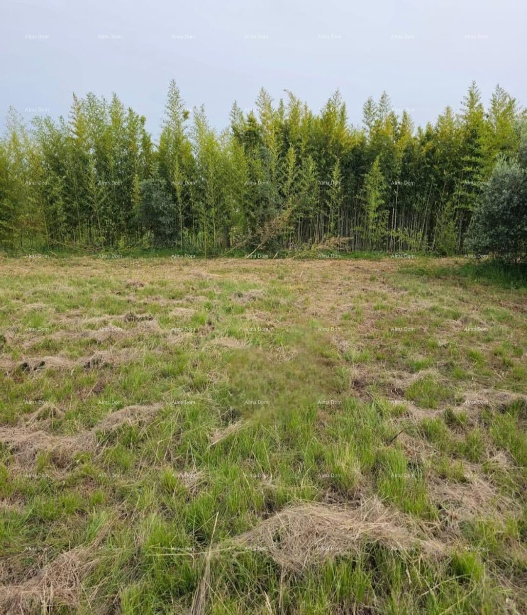 Gradbeno zemljišče Novigrad