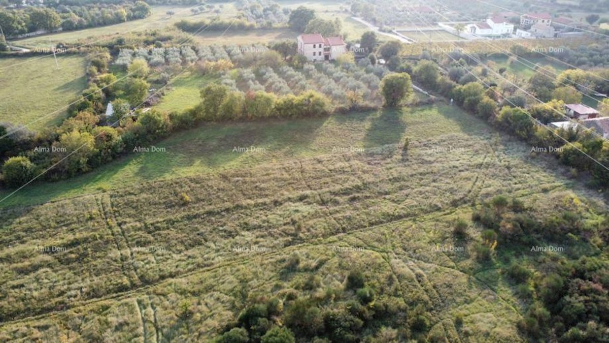 Kmetijsko zemljišče Galižana