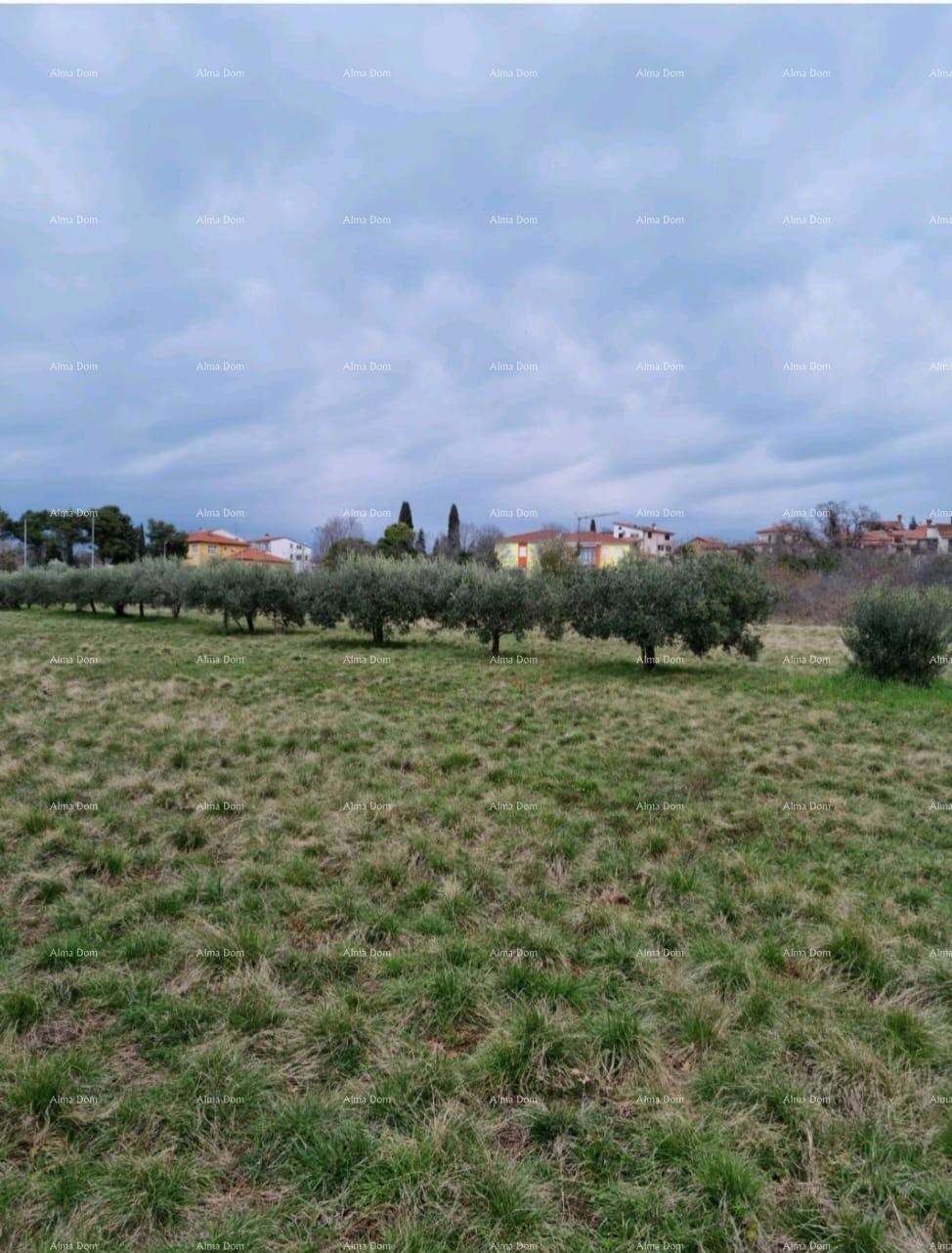 Umag – Gradbeno zemljišče v mirnem okolju, blizu morja in centra