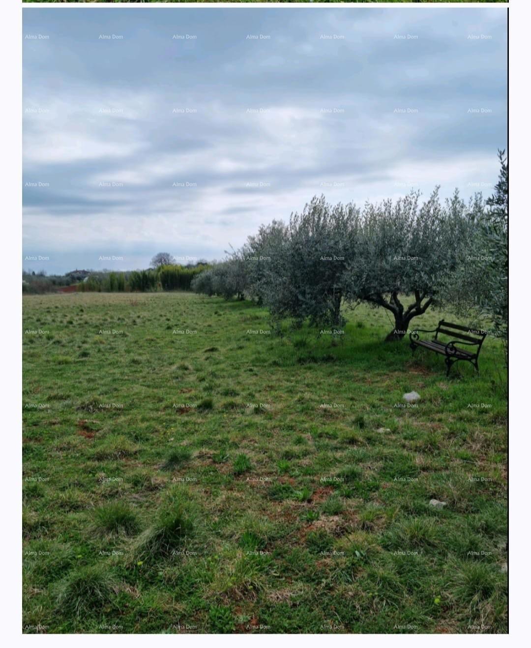 Umag – Gradbeno zemljišče v mirnem okolju, blizu morja in centra