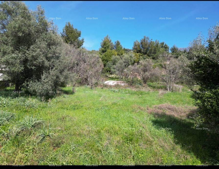 Prodaja se gradbeno zemljišče z ruševno hišico v Labinu, s pogledom na morje in projektom.