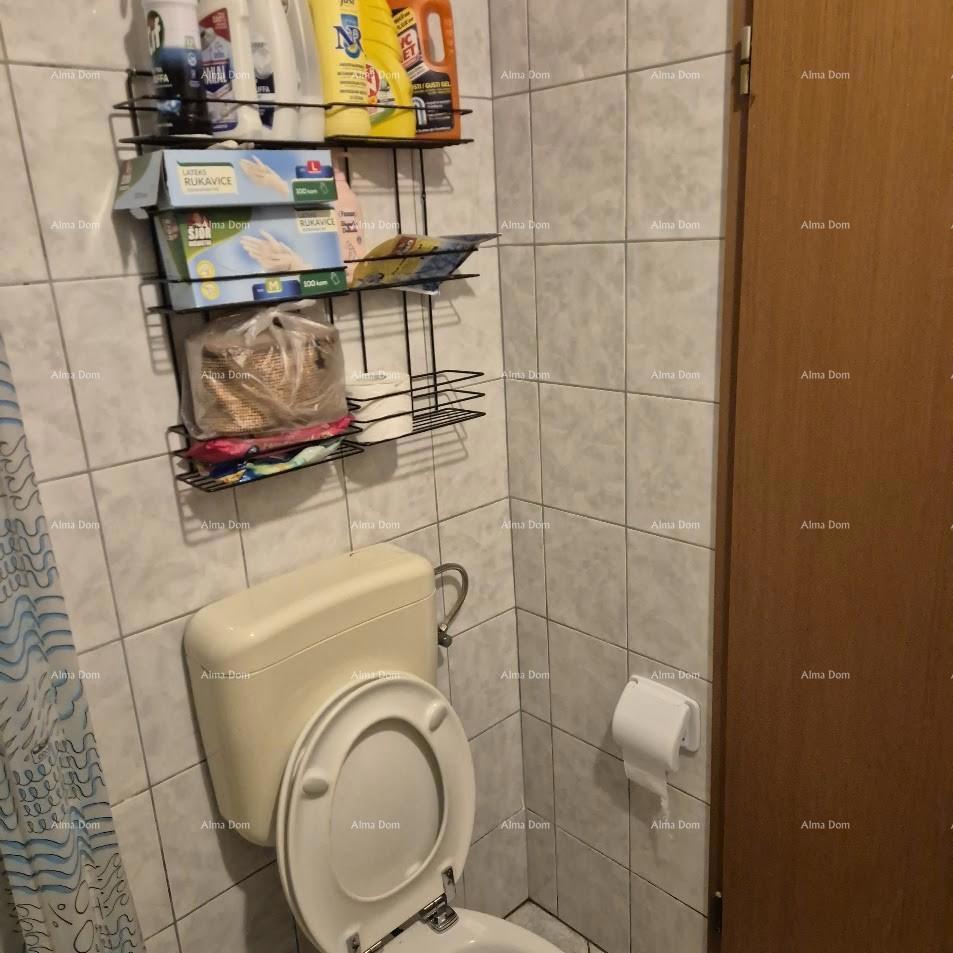 Premantura – 3 apartmaji z dvoriščem v bližini morja!