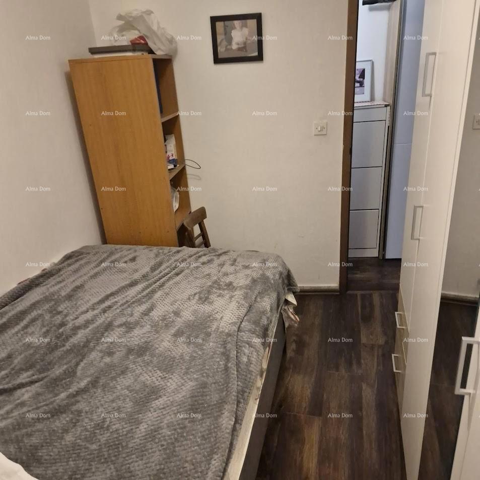 Premantura – 3 apartmaji z dvoriščem v bližini morja!