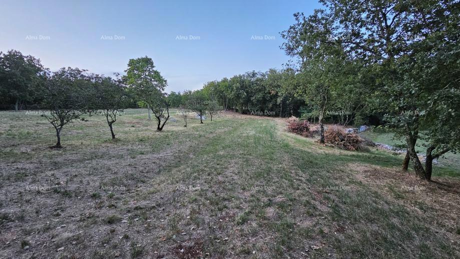 Građevinsko zemljišče v Tinjanu (Istra), 3.623 m²