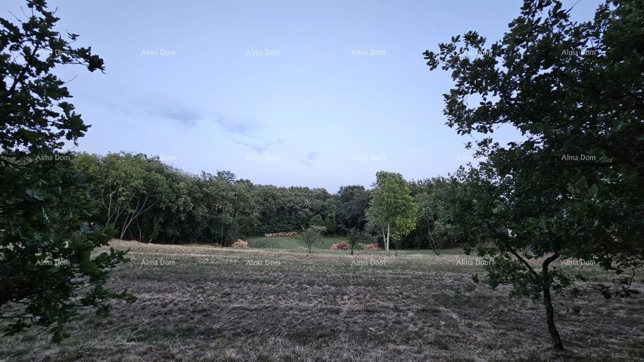 Građevinsko zemljišče v Tinjanu (Istra), 3.623 m²