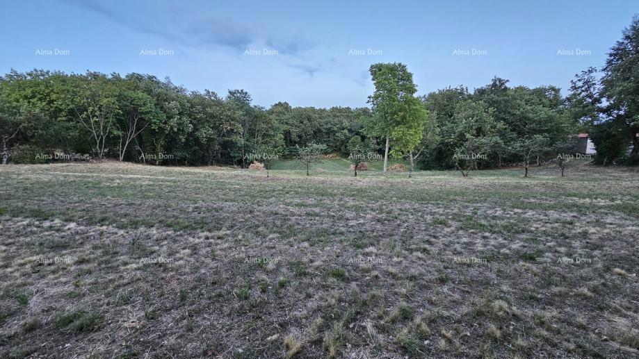 Građevinsko zemljišče v Tinjanu (Istra), 3.623 m²