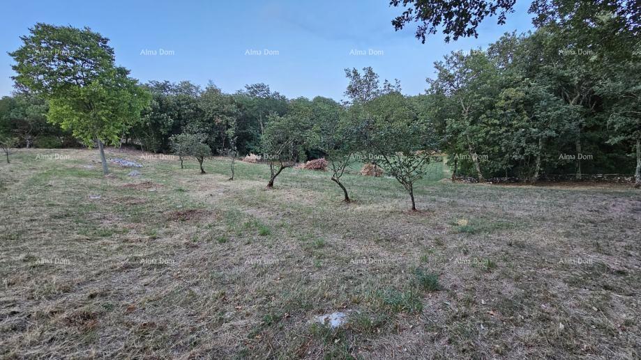Građevinsko zemljišče v Tinjanu (Istra), 3.623 m²