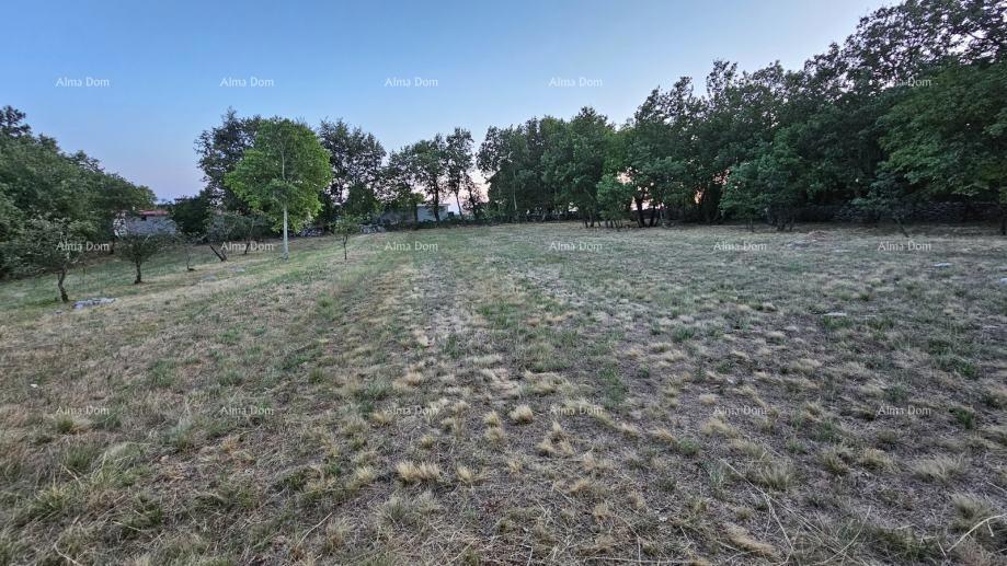 Građevinsko zemljišče v Tinjanu (Istra), 3.623 m²