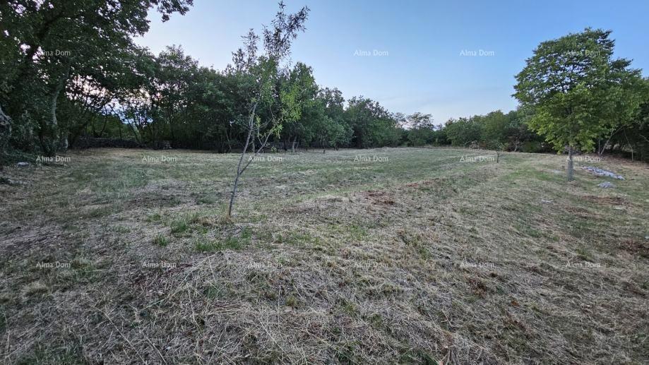 Građevinsko zemljišče v Tinjanu (Istra), 3.623 m²