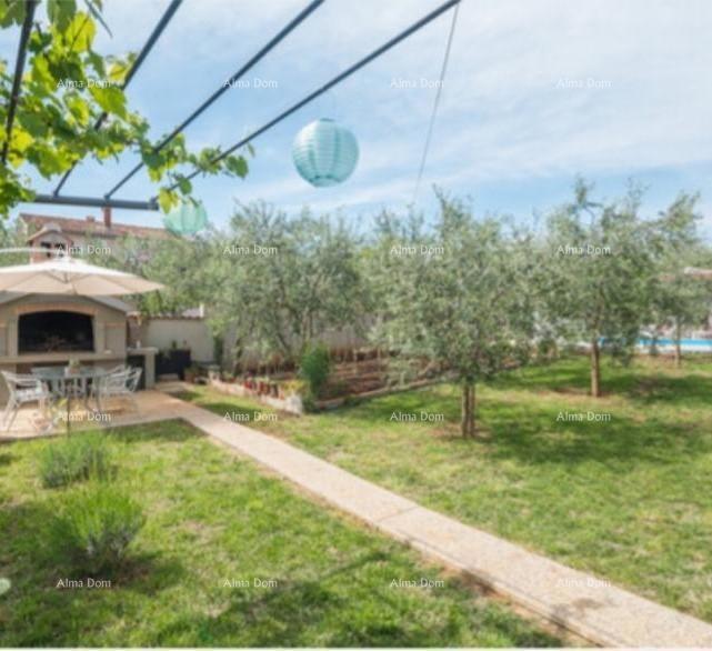 POREČ, Samostoječa hiša s bazenom in 5 stanovanjskimi enotami