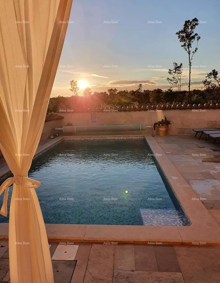 Čudovita hiša z bazenom, obdana z zelenjem!