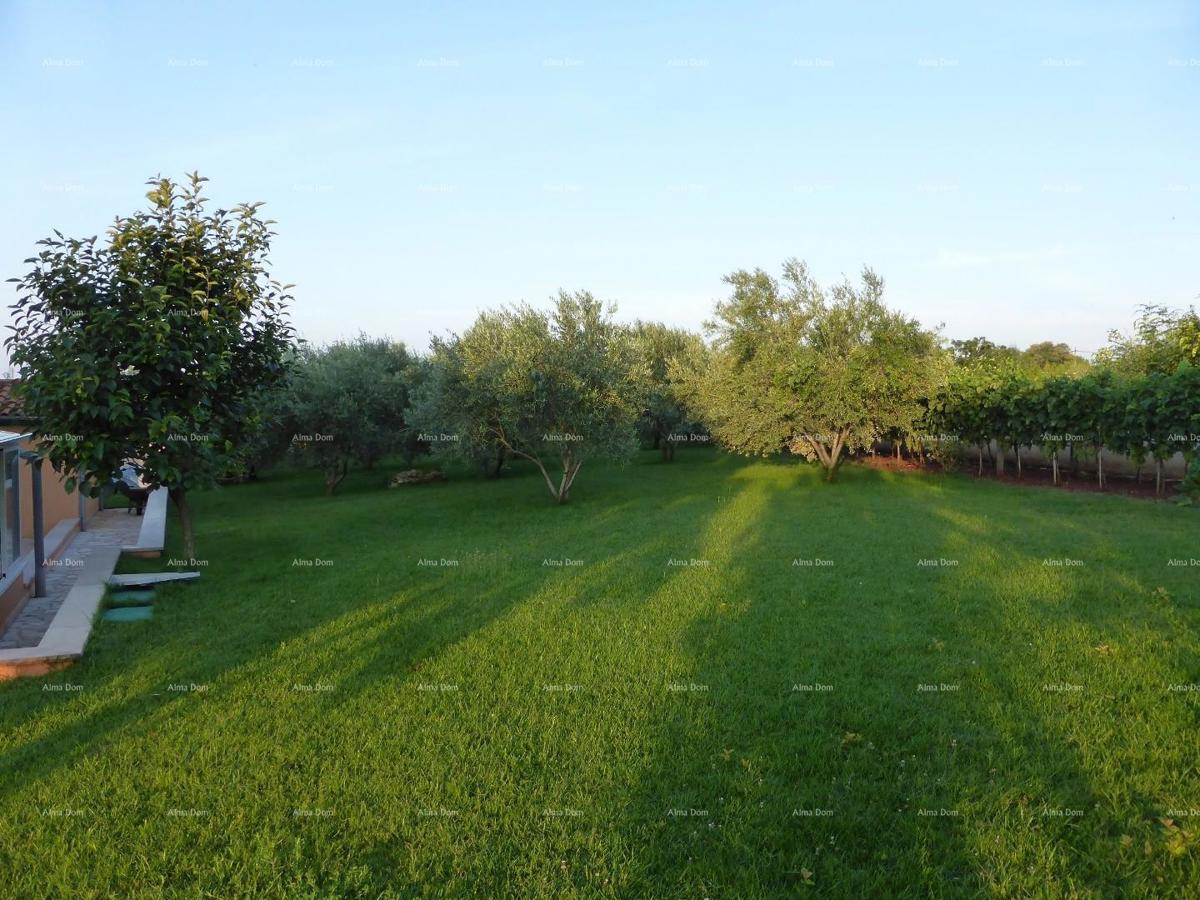 Prodaje se vila, Marčana.