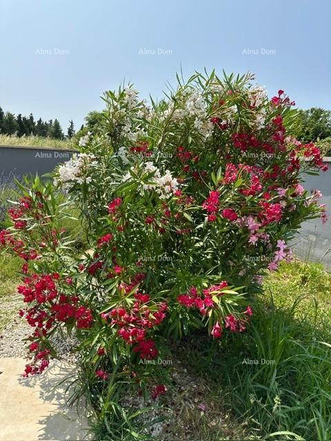 Istra, Ližnjan, 1 km do centra Medulina, nova moderna hiša z bazenom za počitnice.