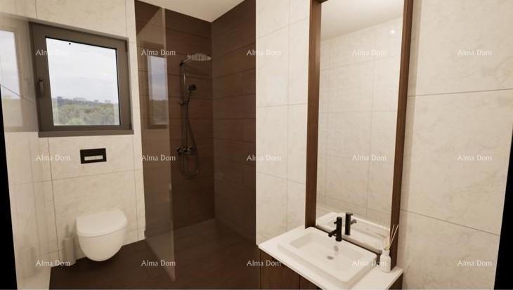 The translation of the title