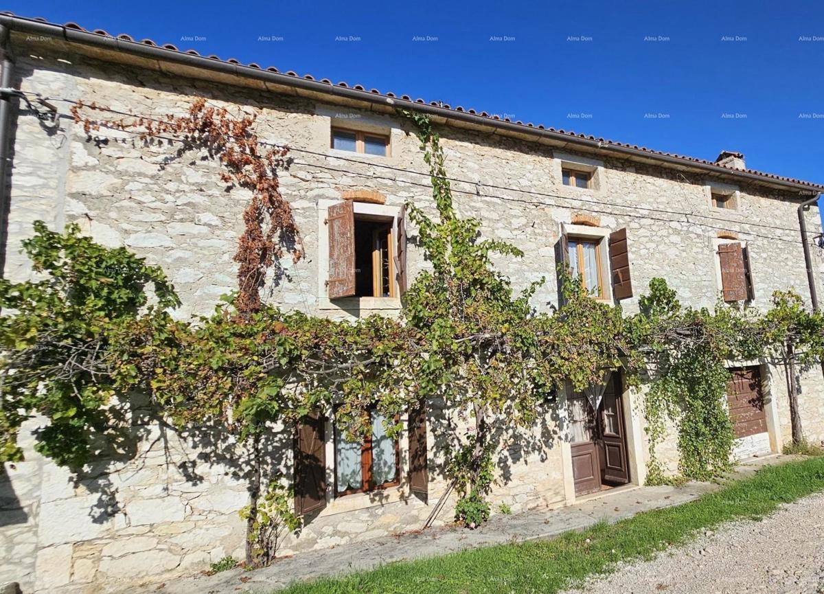 Prodaja - avtentična kamnita hiša z 2 pomožnima objektoma in prostornim dvoriščem, Brtonigla!