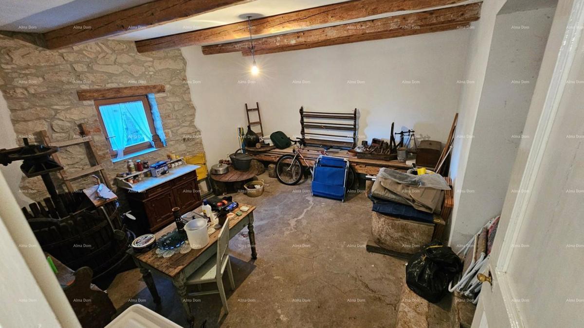 Prodaja - avtentična kamnita hiša z 2 pomožnima objektoma in prostornim dvoriščem, Brtonigla!