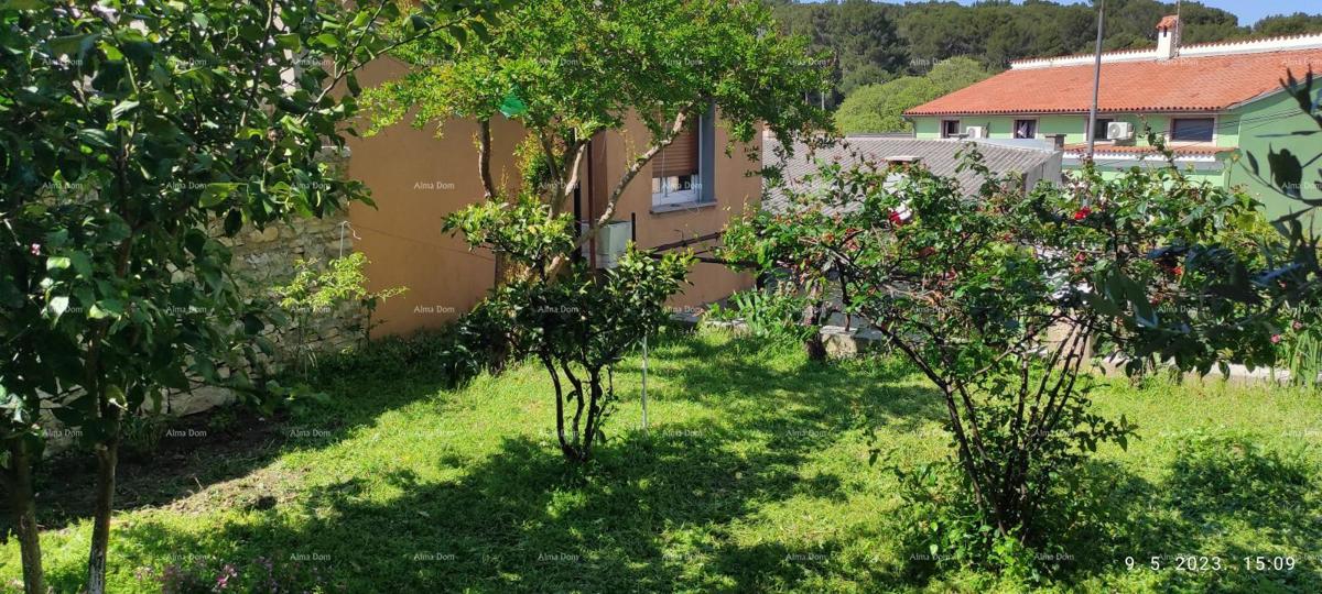 Pula. Hiša s poslovnim prostorom in garažo!