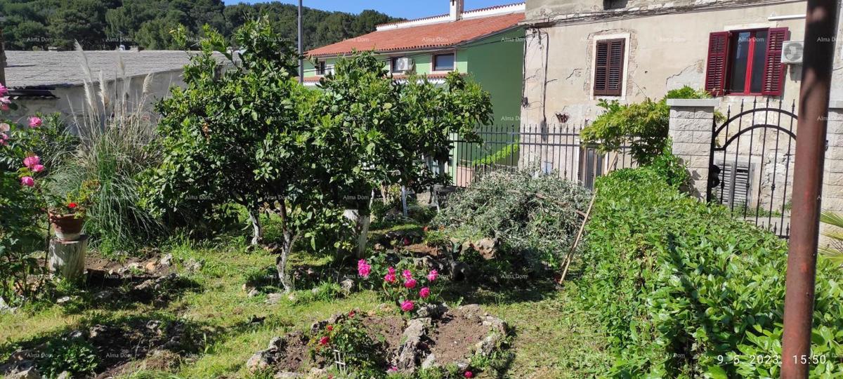 Pula. Hiša s poslovnim prostorom in garažo!