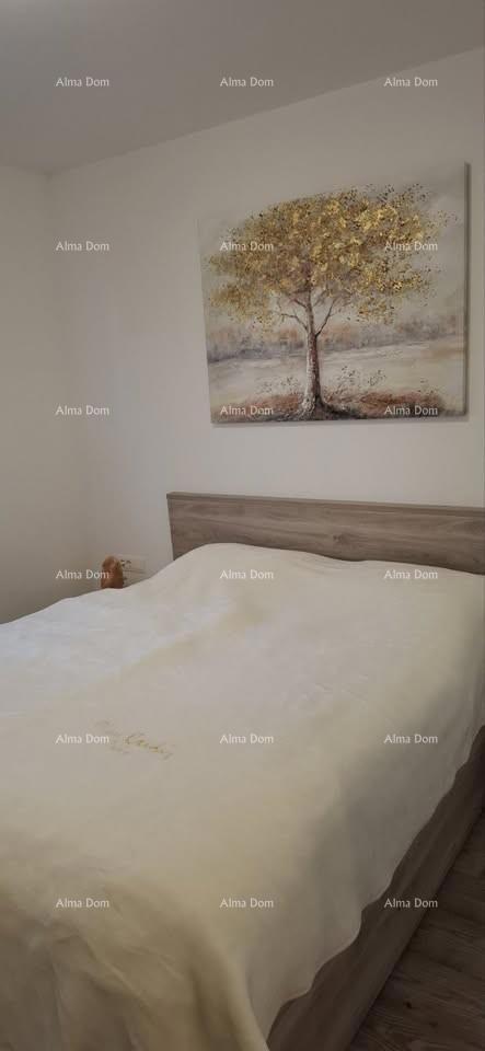 Žminj – Popolnoma opremljeno stanovanje s 2 parkirnima mestoma