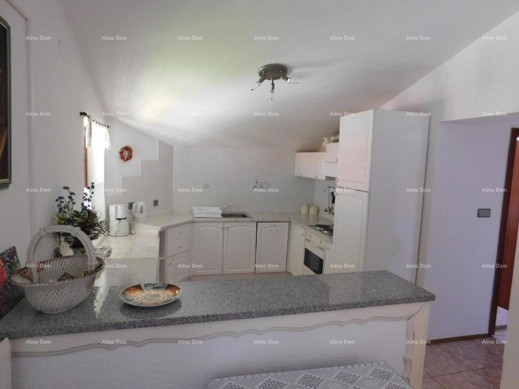 Velika hiša s 4 stanovi - Peščena uvala!