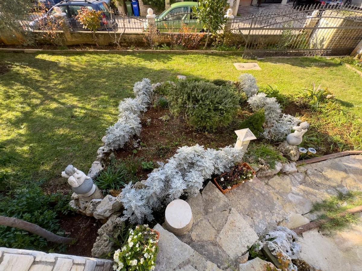 Velika hiša s 4 stanovi - Peščena uvala!