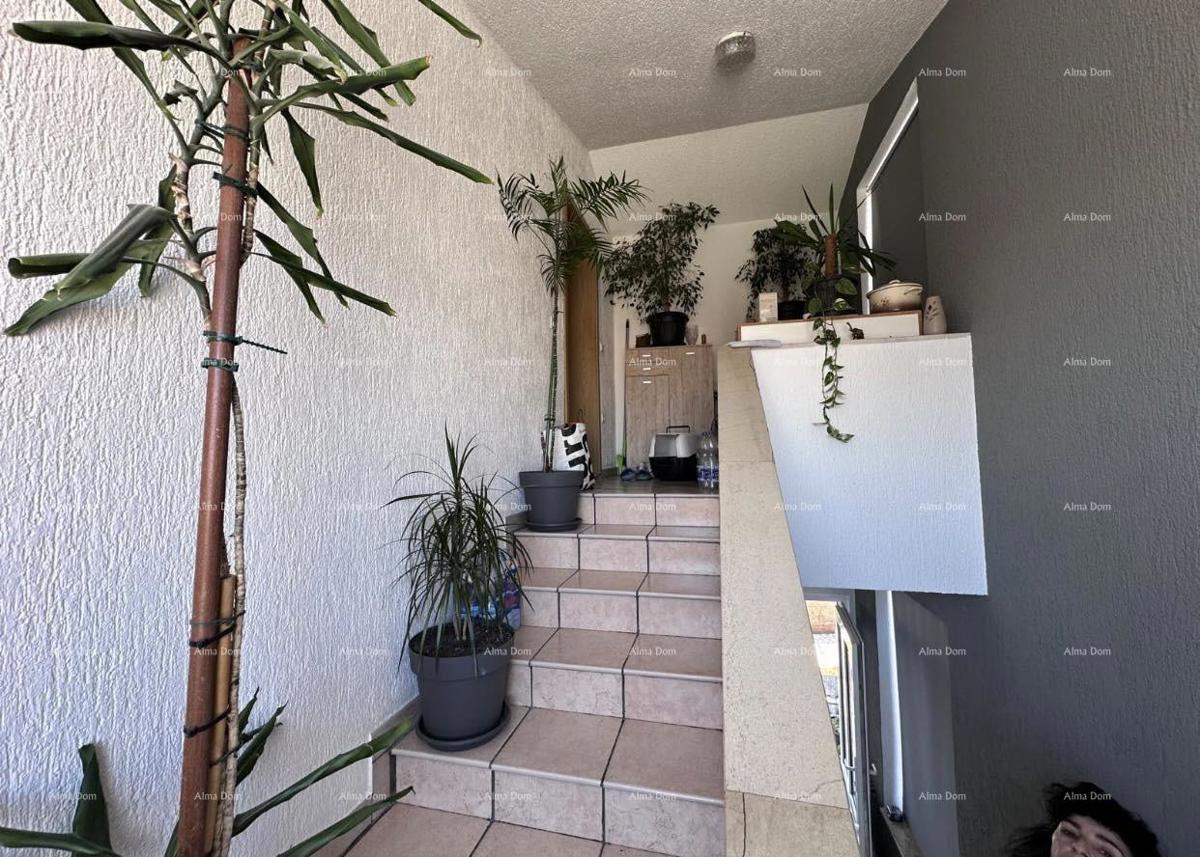 Hiša z dovoljenjem za gradnjo 4 stanovanj!