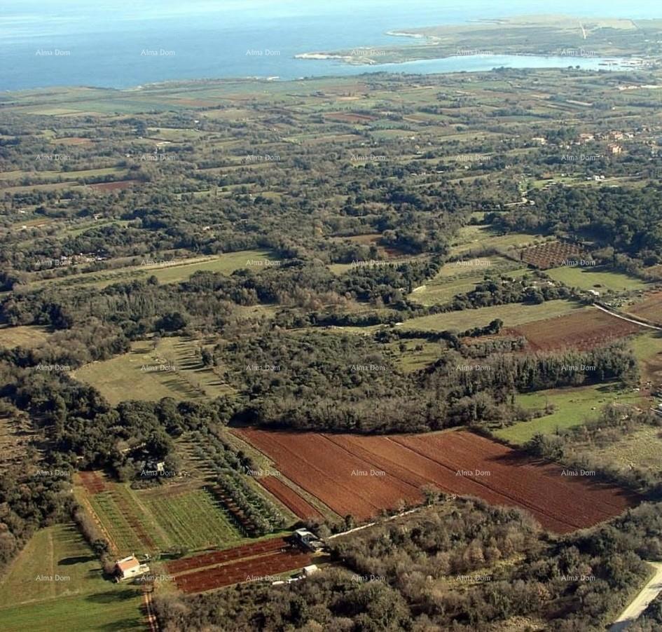 Investicijska priložnost! Prodaja gradbenega zemljišča turistično-gostinske namene - T zona, Ližnjan!